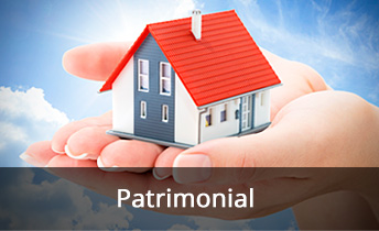 Patrimonial